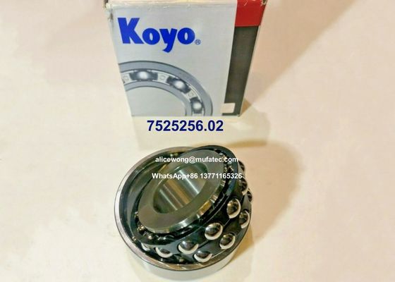 7525256.02 7525256 BMW differential bearings double row ball bearings 31.75x73.025x29.375mm
