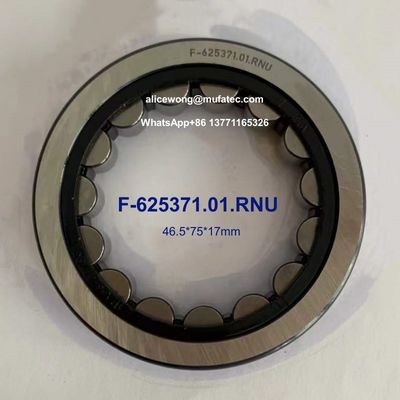 F-625371.01.RNU Automotive Differential Bearings 46.5x75x17mm Cylindrical Roller Bearings Without Inner Rings