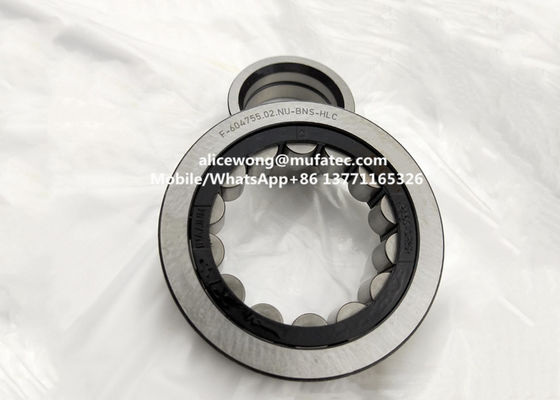 F-604755.02 differential pinion bearing cylindrical roller bearing 35*80*18mm