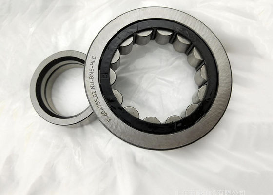 F-604755.02 differential pinion bearing cylindrical roller bearing 35*80*18mm